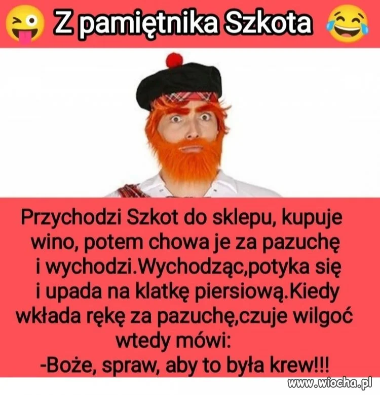 Z życia wzięte: Szkot na zakupach