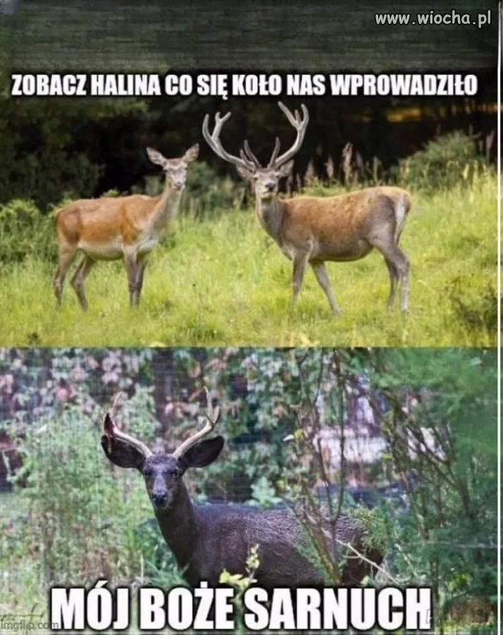 Zobacz, co się koło nas wprowadziło
