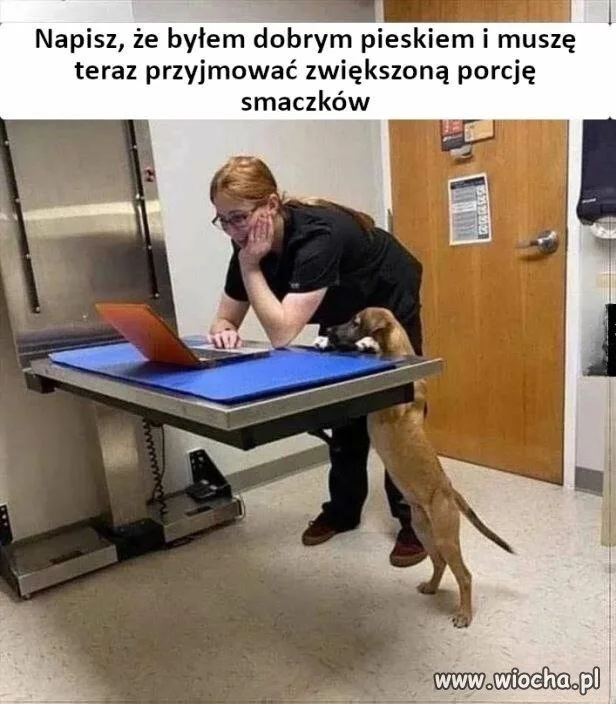 Daj, ja sam wpiszę