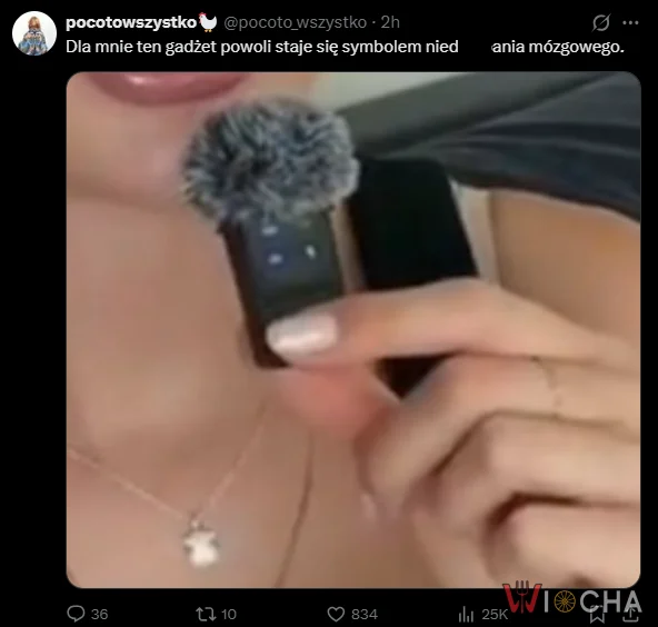 Te mikro mikrofony opanowały Internet