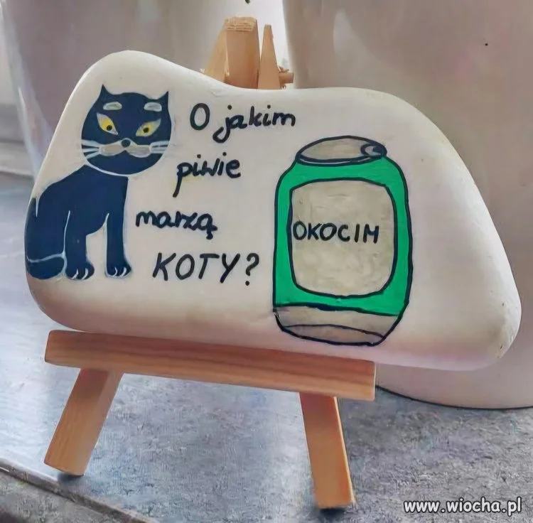 Znacie żart o kocie?