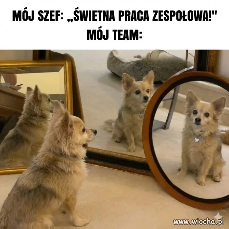 Jesteśmy z siebie dumni