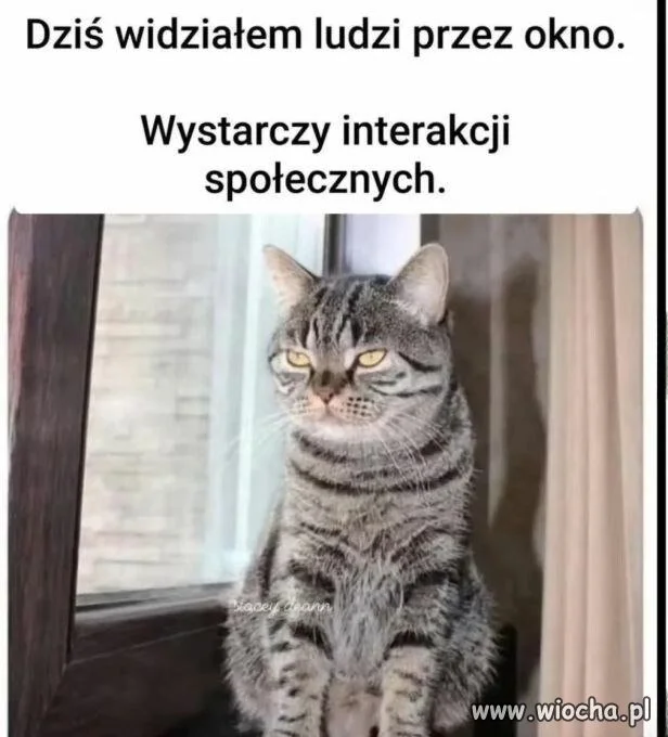 Nie podchodzić