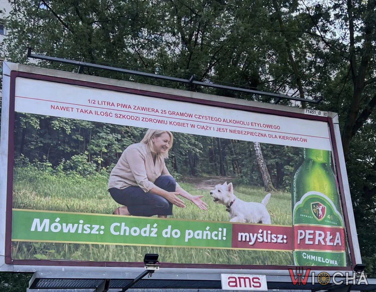 Mówisz do psa, myślisz o piwie
