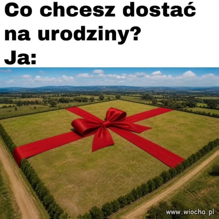 Taka tam działeczka
