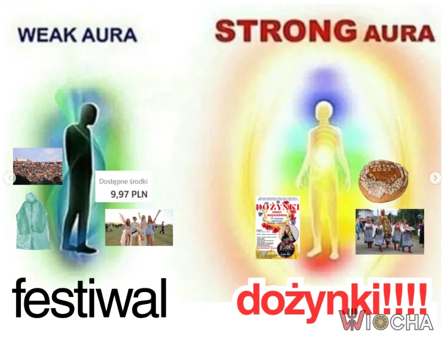 Dożynki > Festiwal
