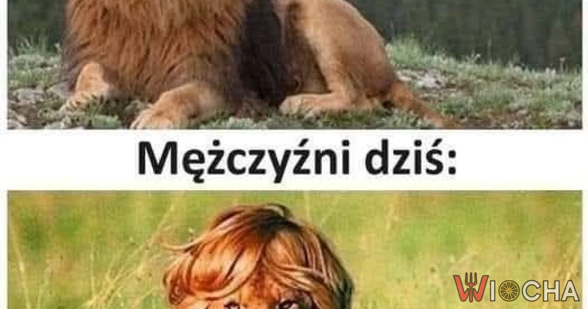 Ewolucja męskości
