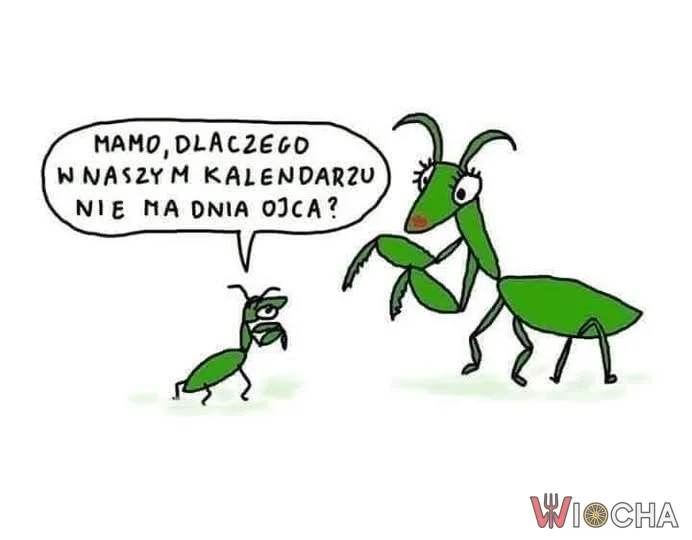 Spóźnione wszystkiego dobrego