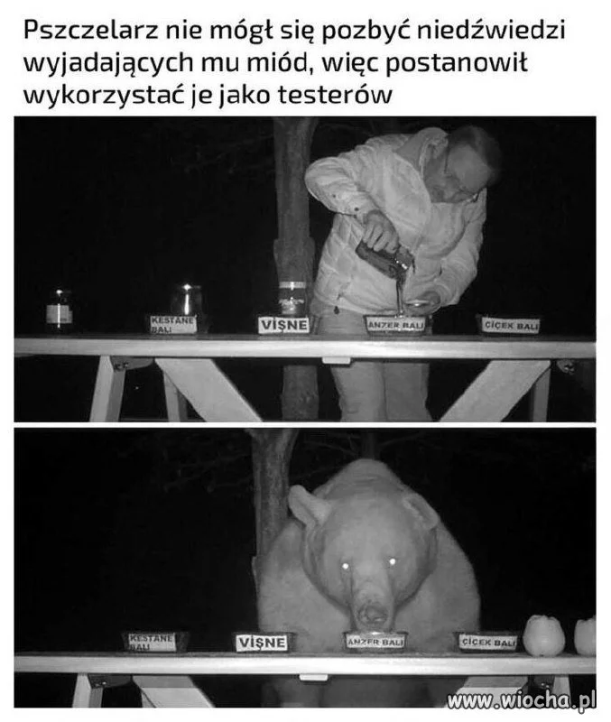 Trzeba sobie radzić