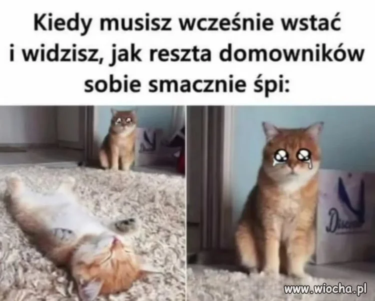 Poranek niesprawiedliwości