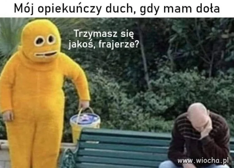 Tak jak widać
