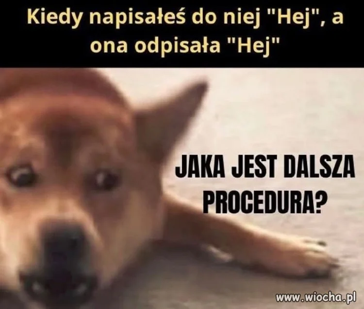 Hej