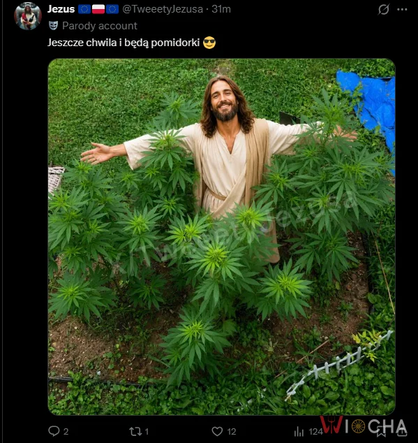 Niedługo będą pomidorki