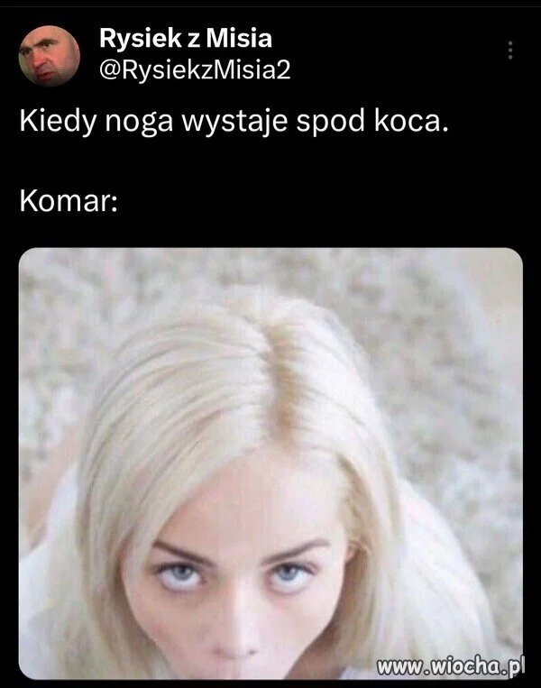 A sezon w pełni 