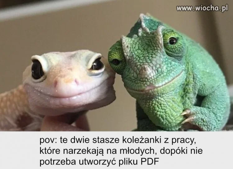 Roszczeniowe pokolenie