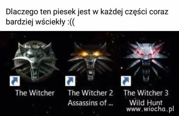 Piesek z serii o wiedźminie?