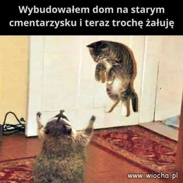 Matko, co tam się dzieje