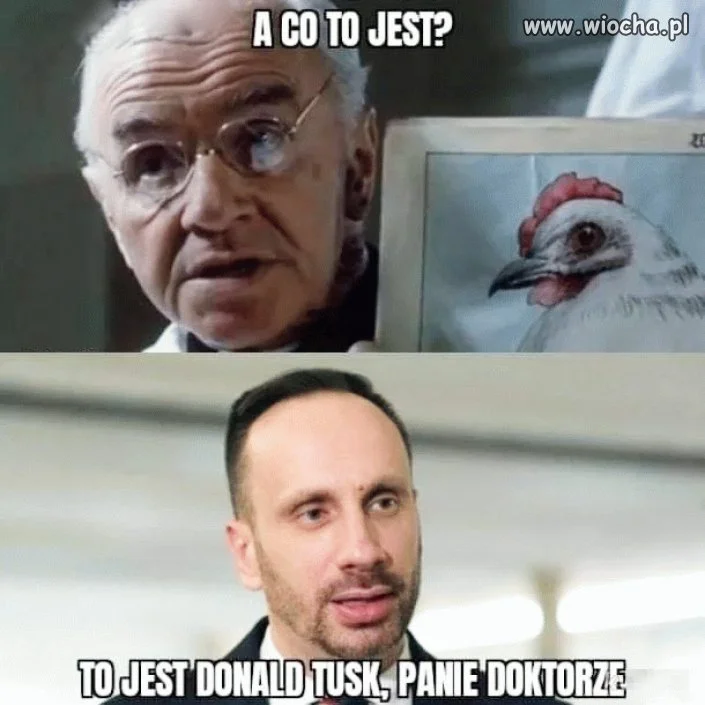 Obsesja Janusza