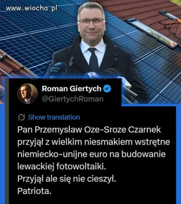 Fałszywa pisowska wesz