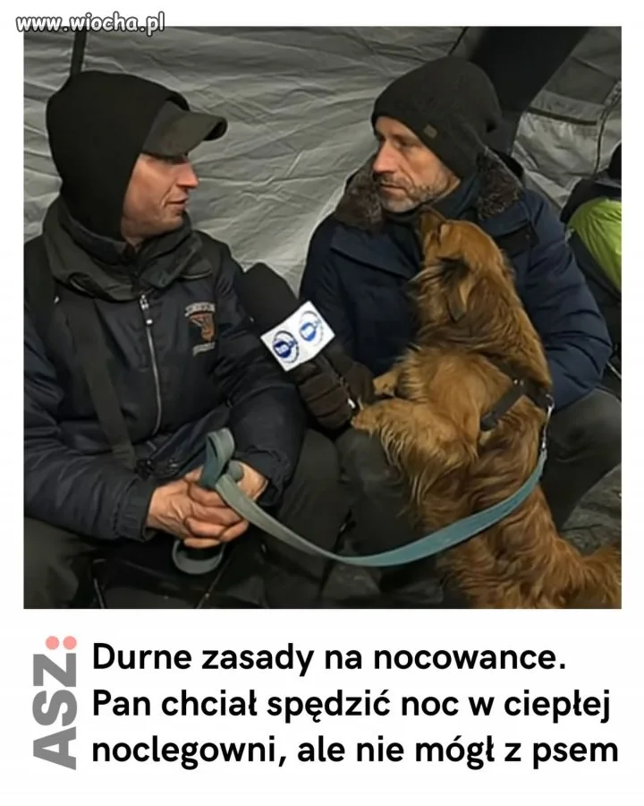 To ja wolę nocowankę z Julią Wieniawą