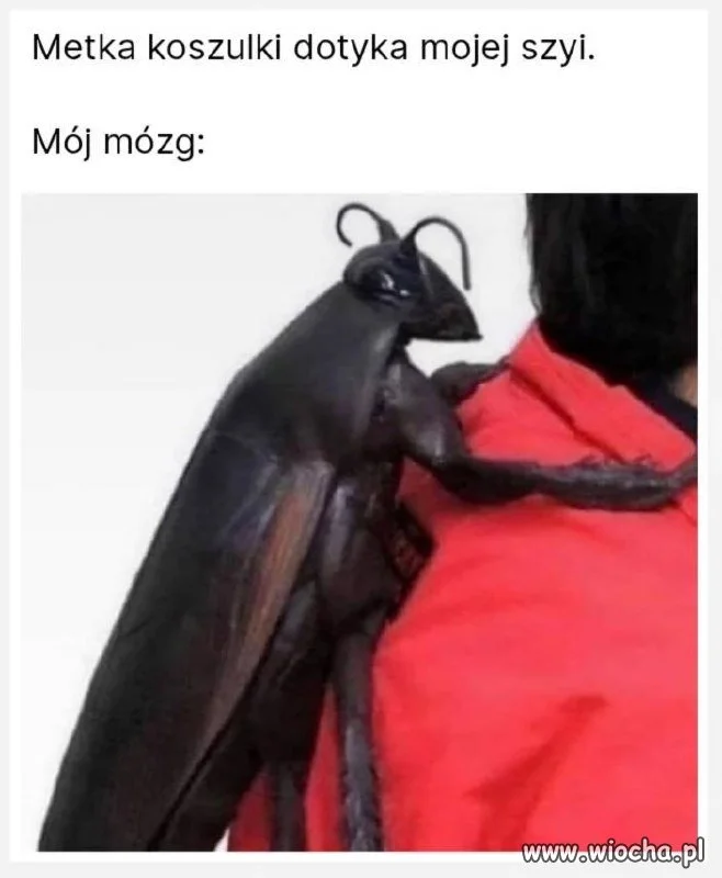 Kiedy metka za daleko wchodzi w życie