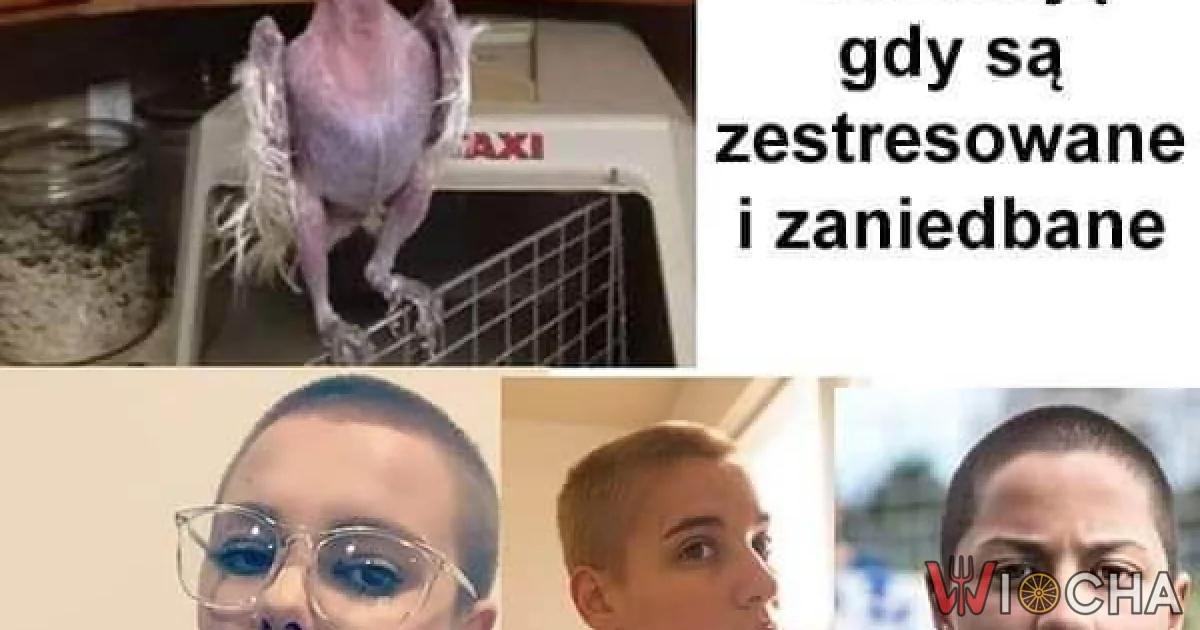 Kiedy stres cię oskubuje