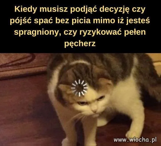 Spragnienie czy pełen pęcherz?