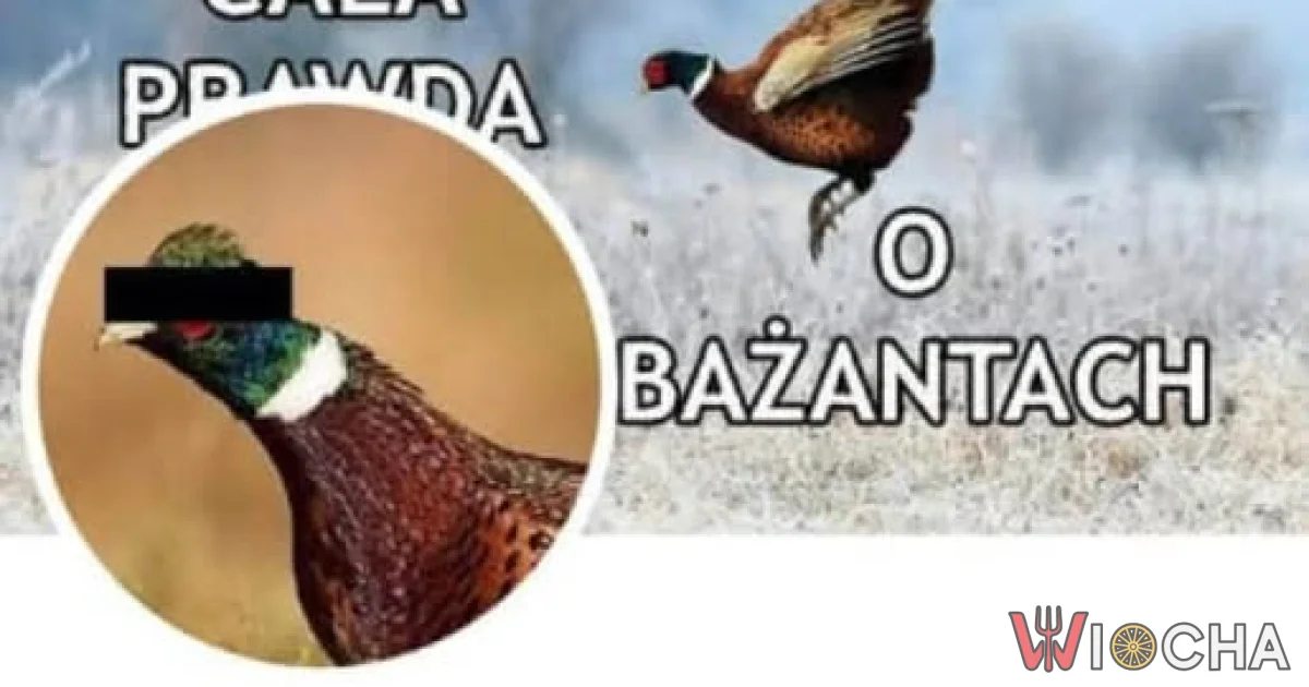 Bażanty naprawdę