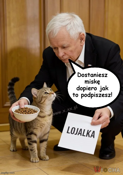 Odcisk łapki wystarczy 1