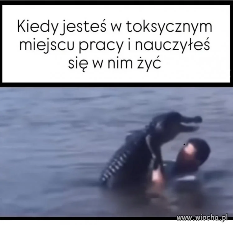 Wszystko w normie