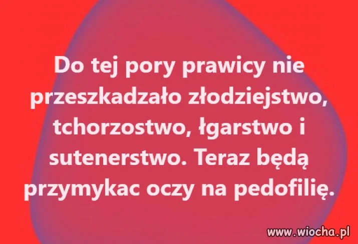Jak wiadomo katole wyspowiadaja sie i niewinni...