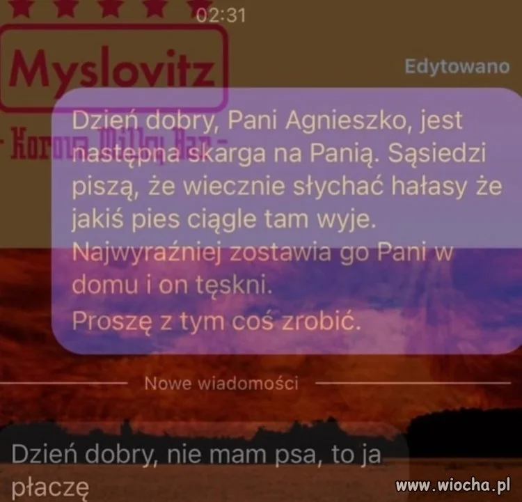 Dzień dobry, proszę zapytać sąsiadki