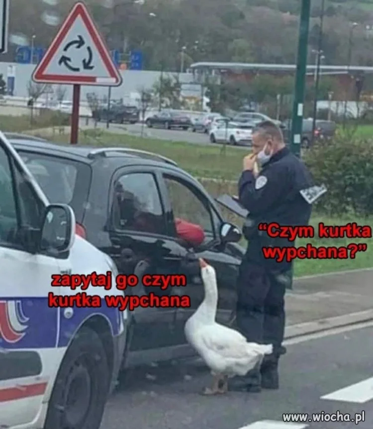 Takim to nie podskoczysz