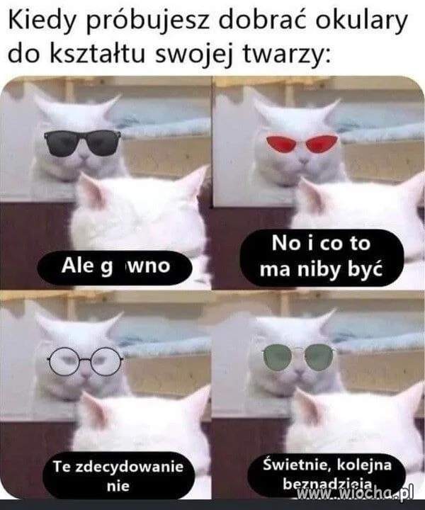 Kolejna beznadzieja