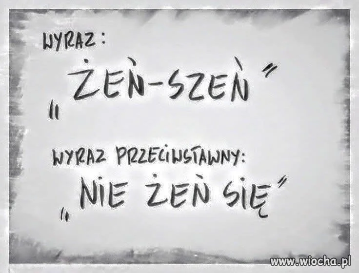 Wyraz Żeń szeń