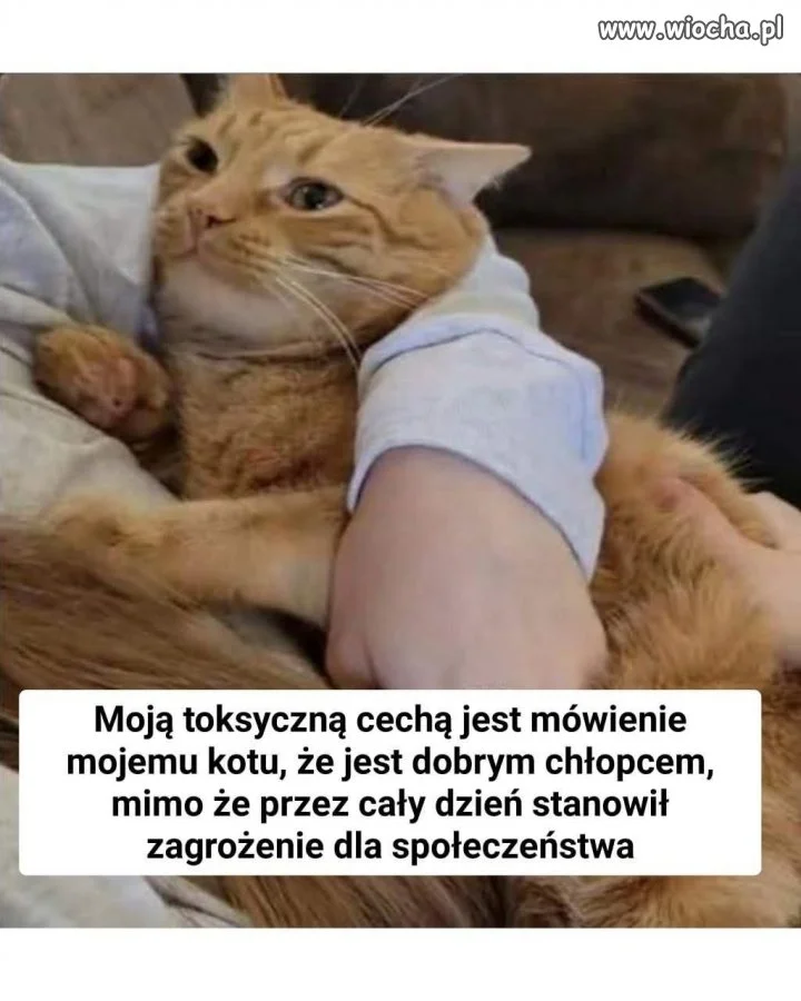 Kto jest takim grzecznym chłopcem?