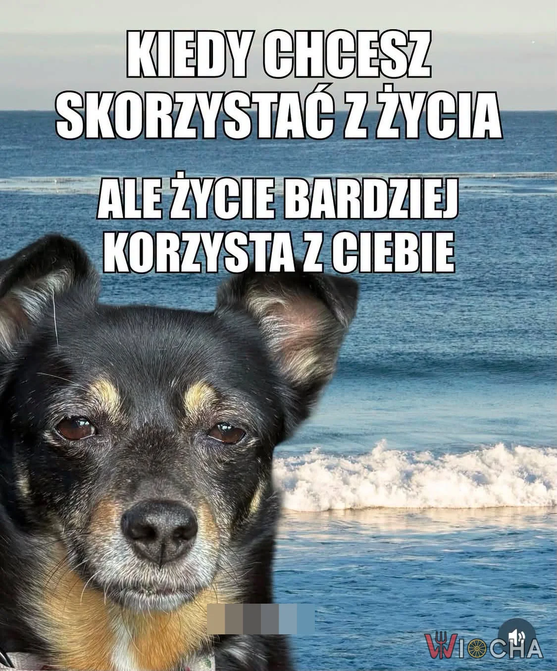 Życie ma swoje plany