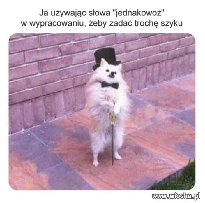 Szyk na miarę wioski