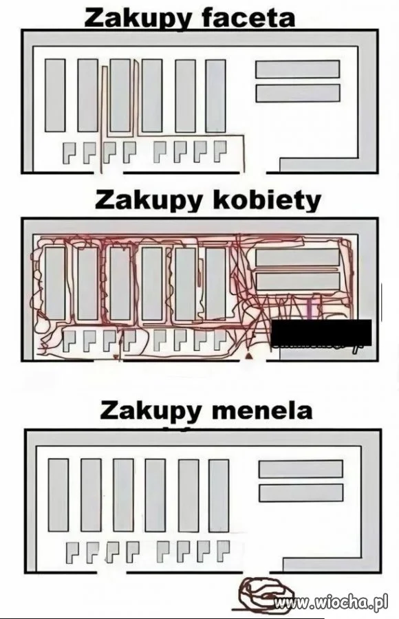 Coś w tym jest