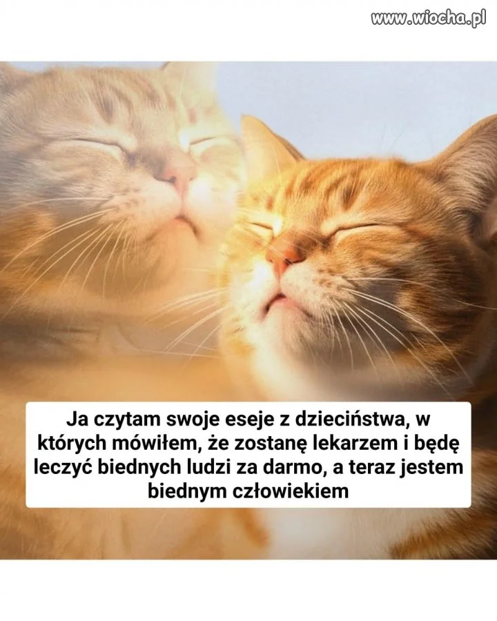 Życie to są chwile