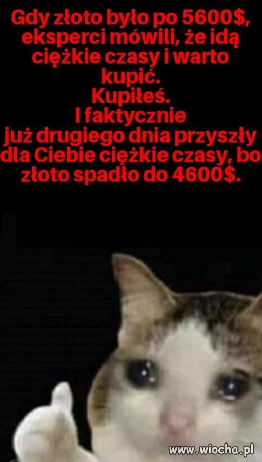 Klasyka gatunku 