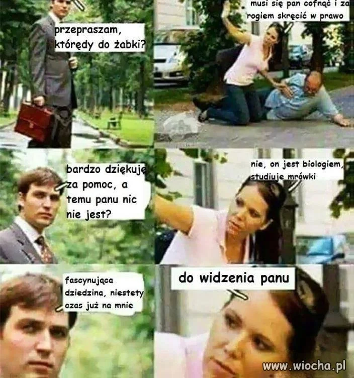 Fascynująca dziedzina