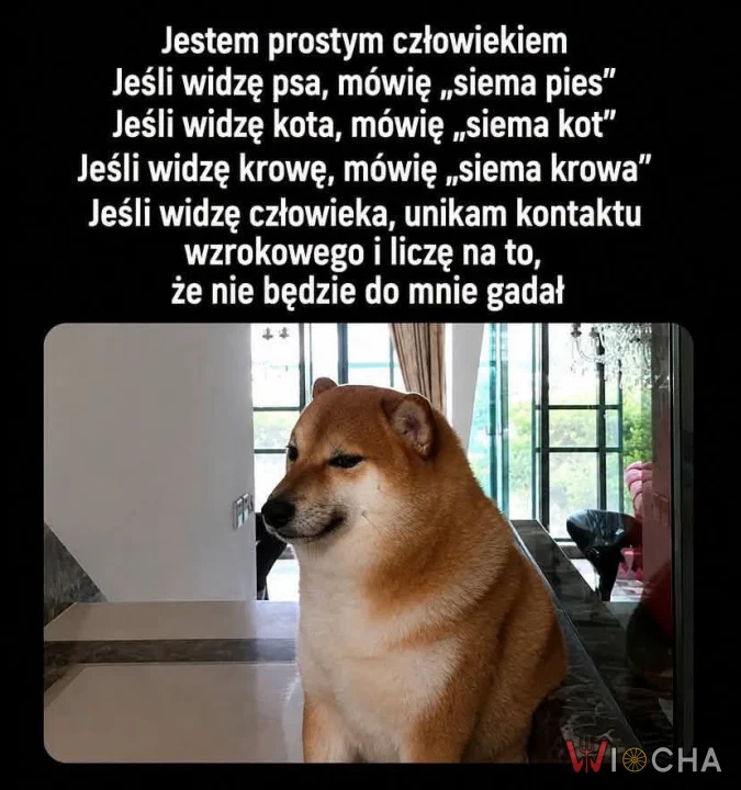 Prosty człowiek
