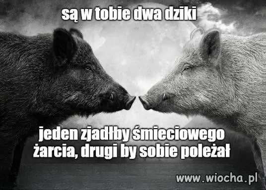 Jeden by się najadł śmieciowego żarcia
