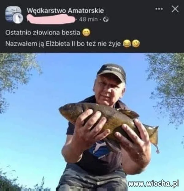 Nazwałem ją Elżbieta II