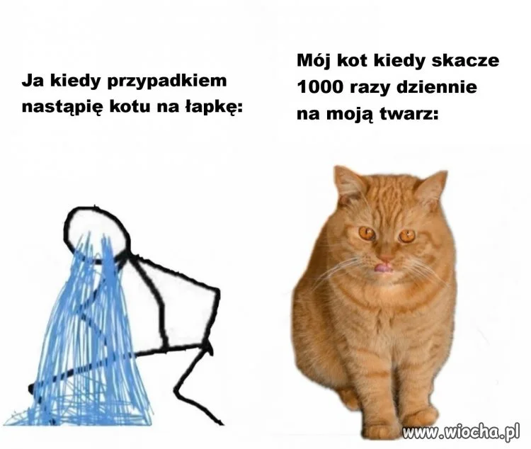 Dokładnie tak jest
