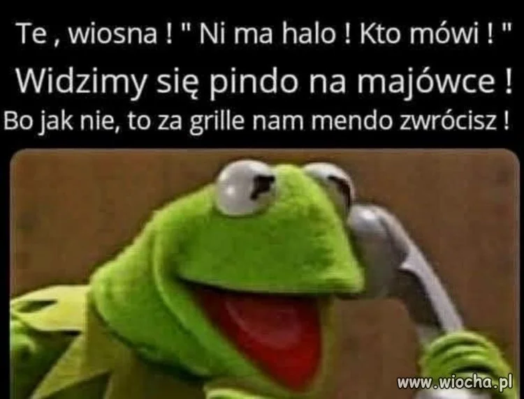 Widzimy się pindo na majówce !