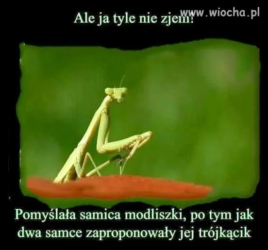 Żart z kategorii przyrodniczej