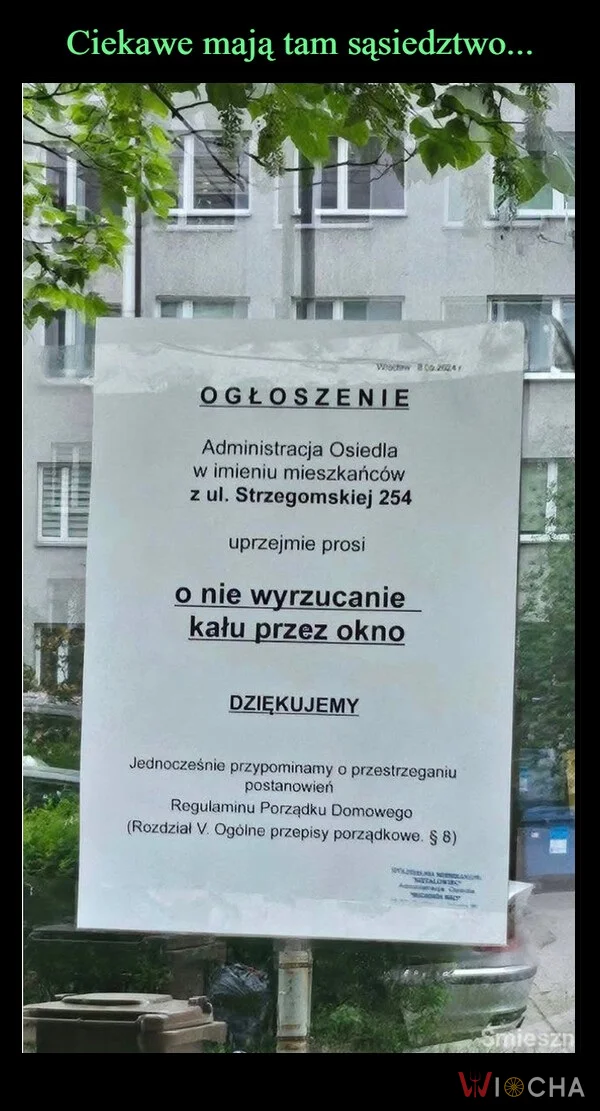 Chyba ktoś utożsamił się z gołębiami