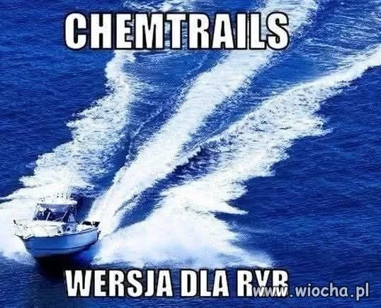 Czy skoro samoloty rozpylają chemtrails dla ludzi